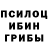 Псилоцибиновые грибы прущие грибы Robo Mind
