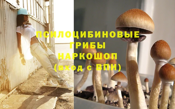 ГАЛЛЮЦИНОГЕННЫЕ ГРИБЫ Алзамай