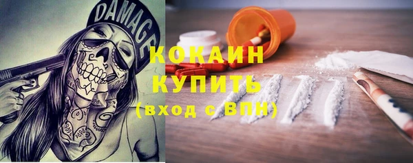 ГАЛЛЮЦИНОГЕННЫЕ ГРИБЫ Алзамай