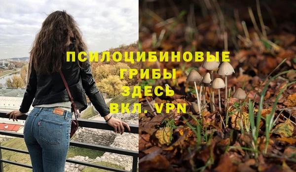 дурь Абдулино
